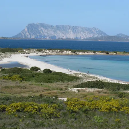 Oleandro アパート ポルト・タヴェルナ