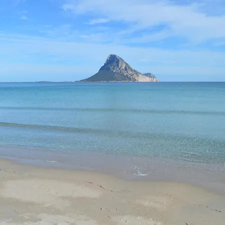 Oleandro * ポルト・タヴェルナ